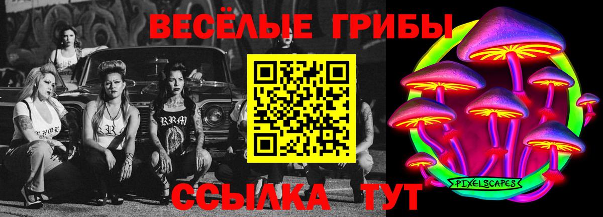 Галлюциногенные грибы прущие грибы Барабинск